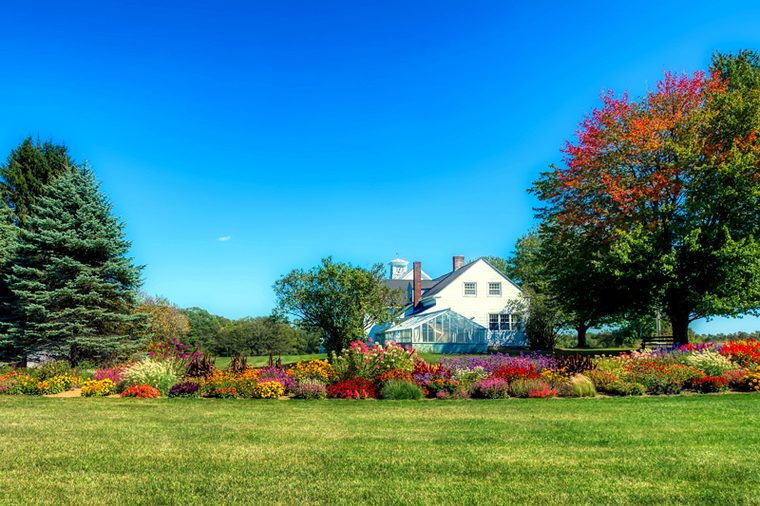 Country homeowners insurance
